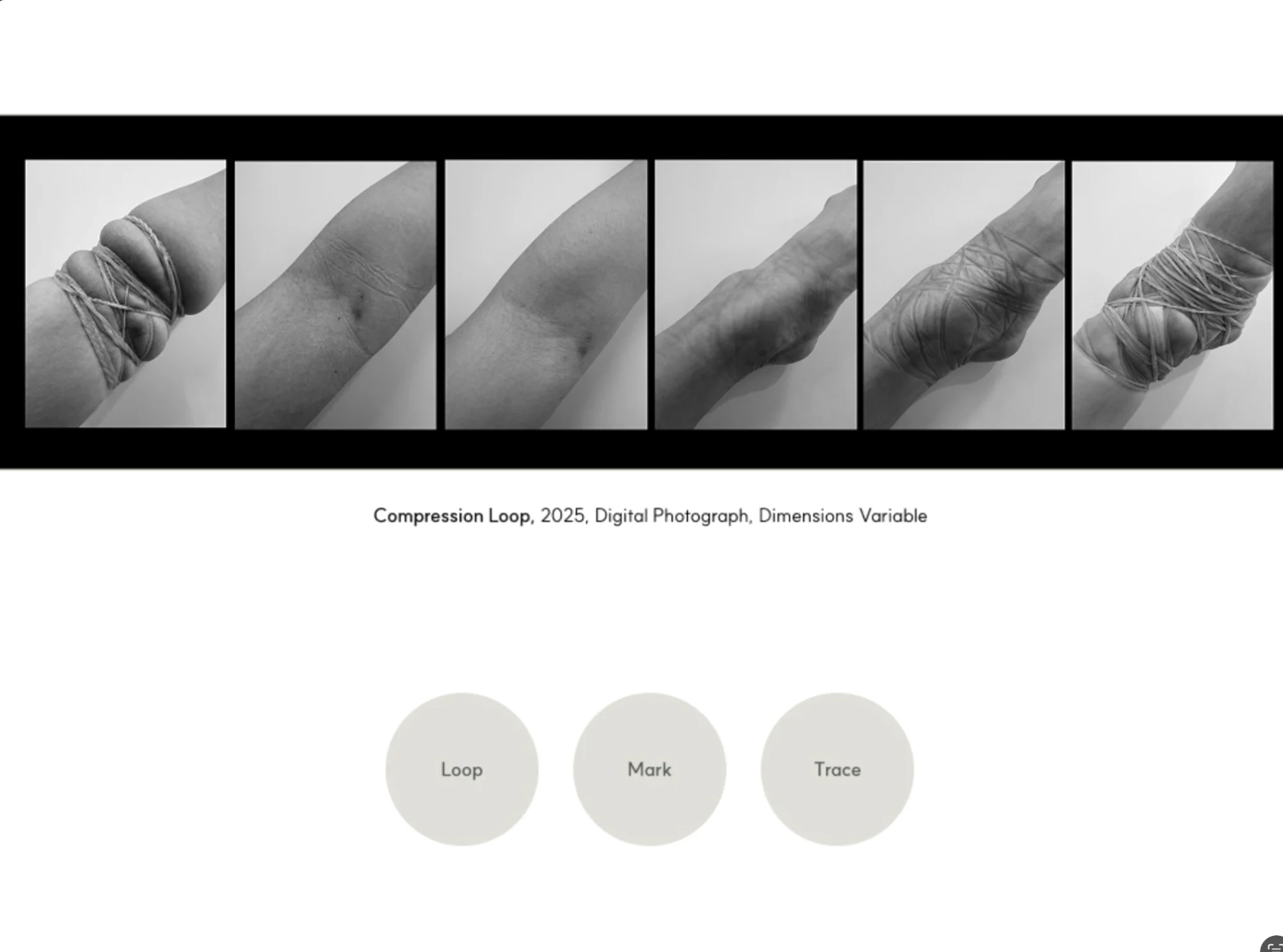 Compression Loop - Thumbnail 2