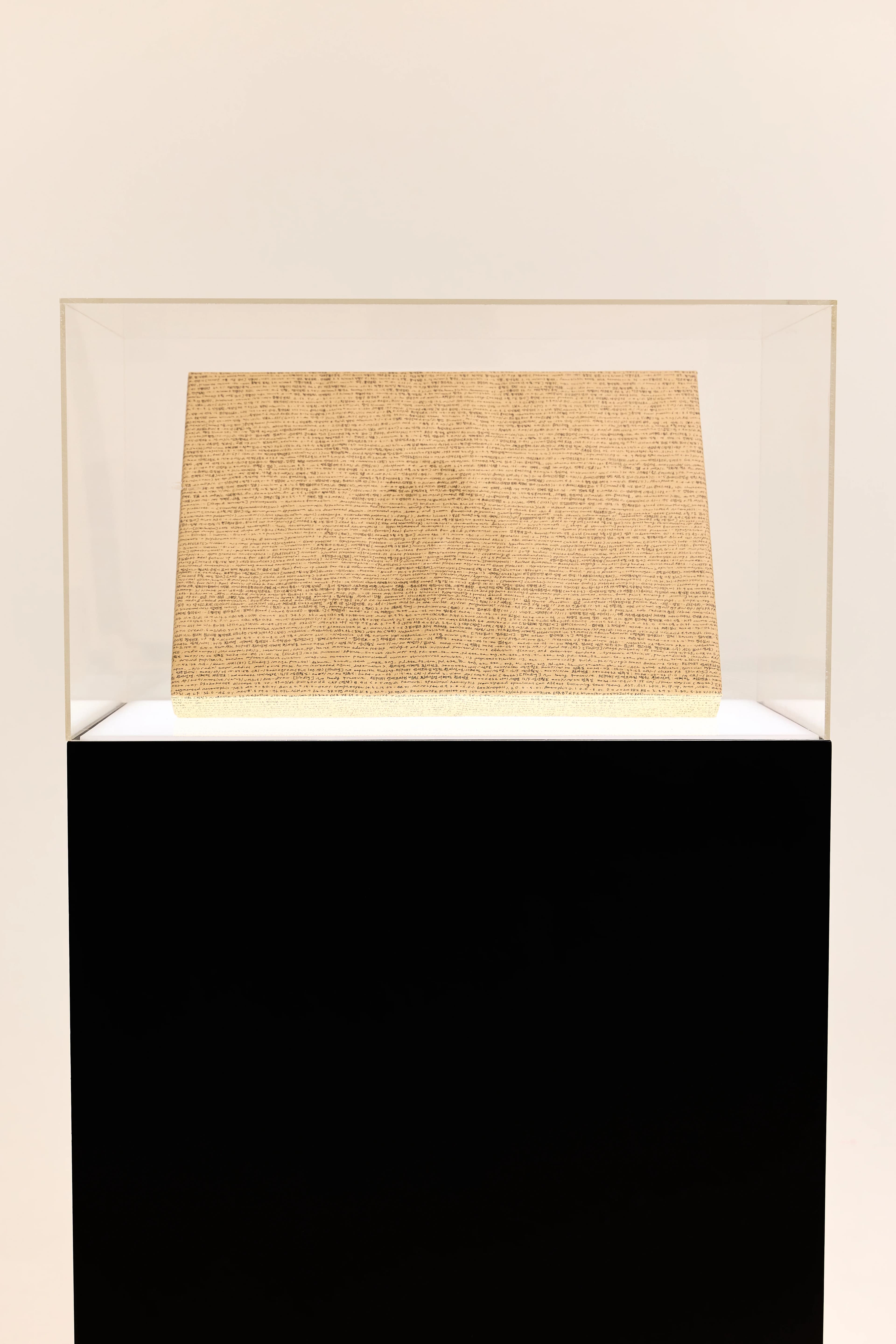 Unsent Apology - Thumbnail 2