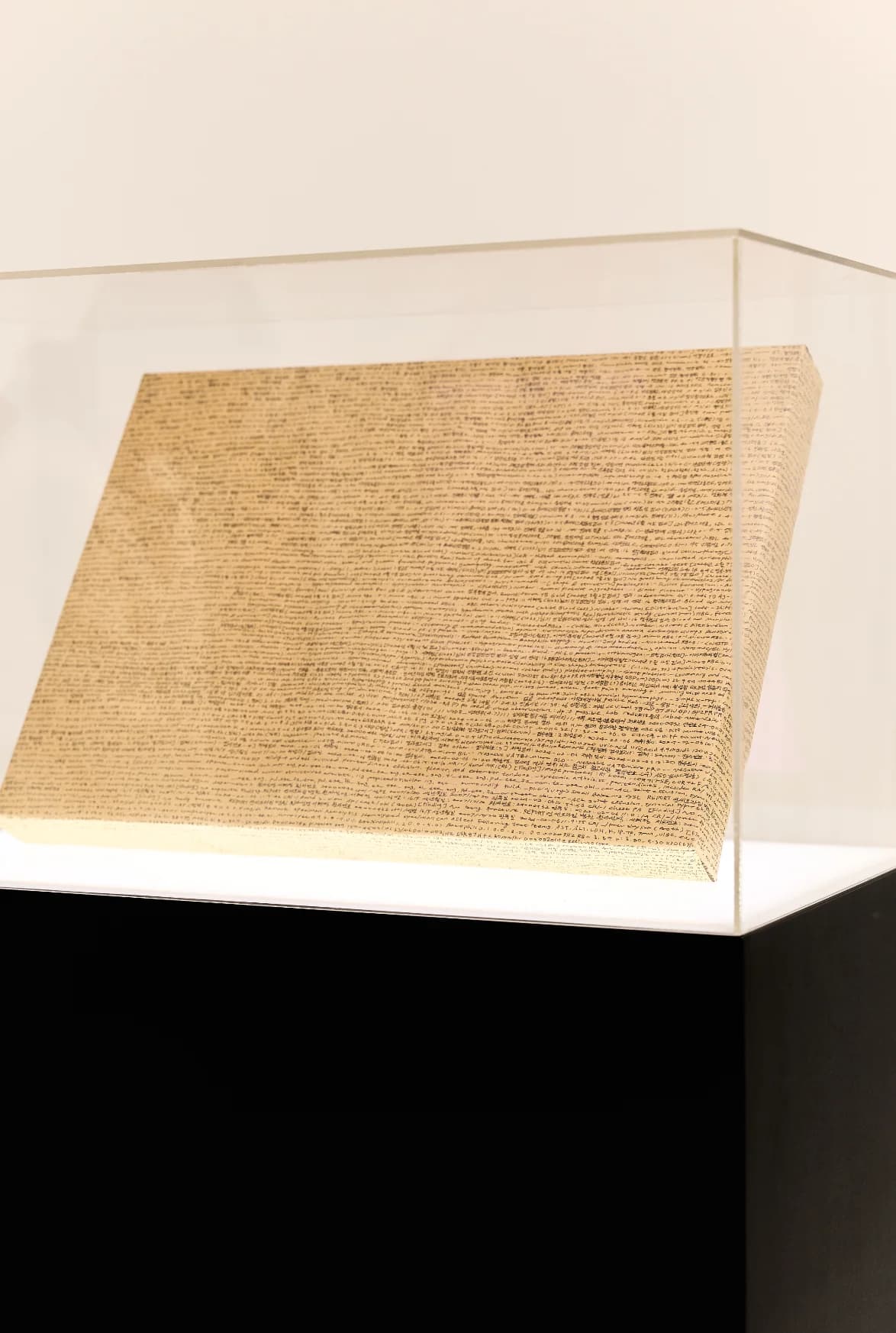 Unsent Apology - Thumbnail 3